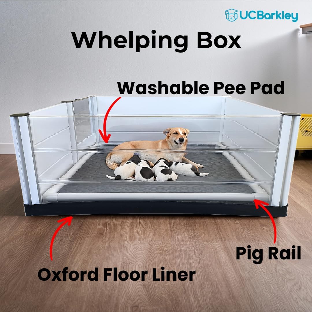 Whelping Box for Dogs and Puppies with Clear Window Panel – Modular, Easy-Clean, Safe Design with Pig Rail, Floor Liner & Washable Pad | UC Barkley Premium 48 Inch