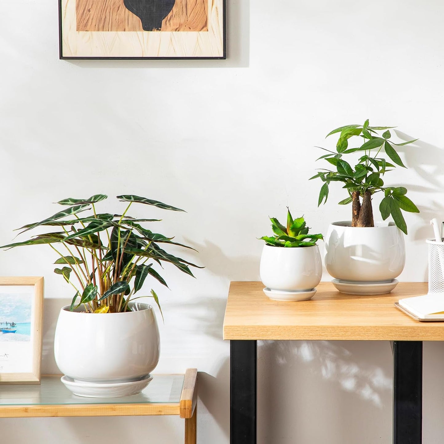 vancasso 3-Pack Ceramic Plant Pots, 3.7/4.8/6.2 Inch Indoor Planters with Saucers & Drainage Hole Planter pots for Indoor Plants and Flower, White
