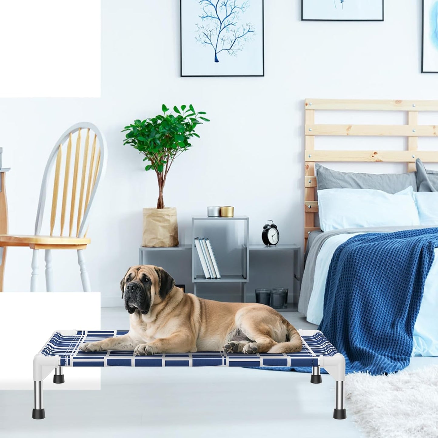 Elevated Dog Bed - Soft Comfortable Fabric, Easy to Clean, Stainless Steel Frame, Raised Design for Air Circulation, Durable Pet Cot for Medium Dogs, Breathable & Stable Pet Bed