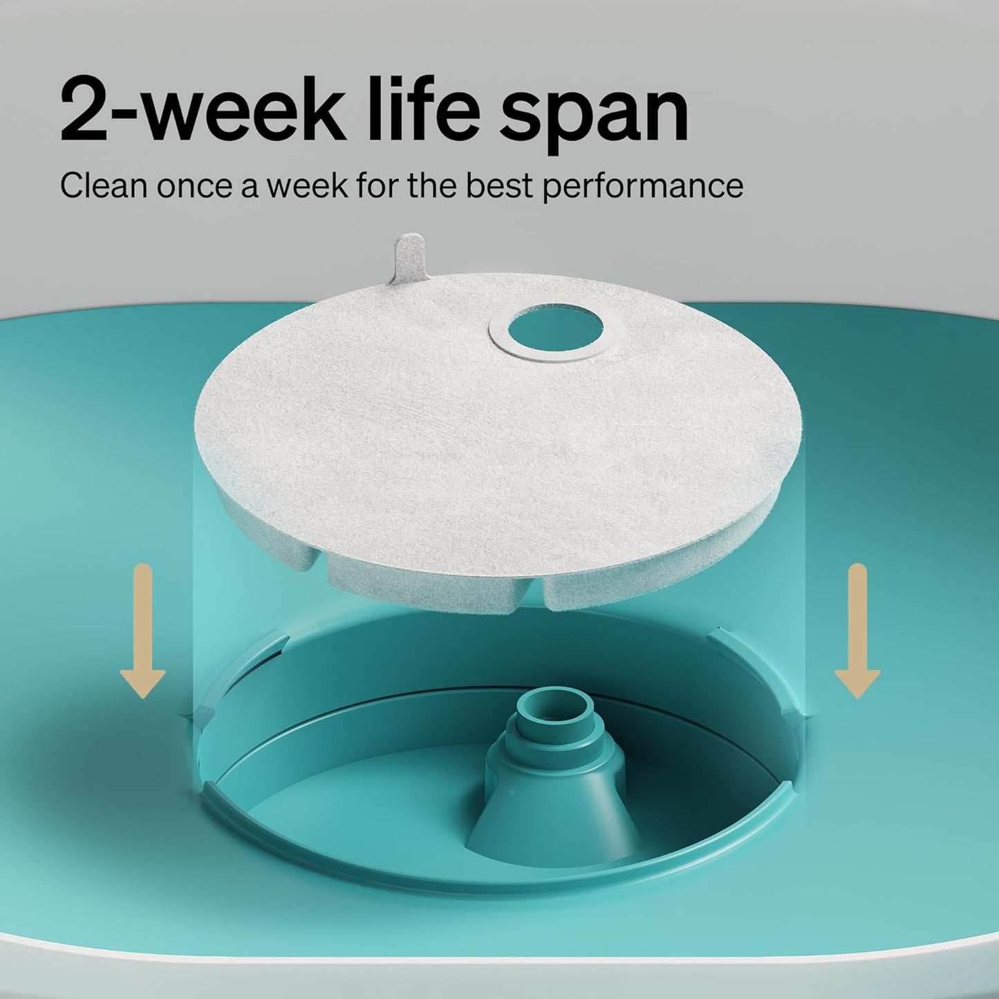 PETLIBRO Replacement Filters for Capsule Dog Fountain PLWF008, 1 Month Set of Filters for Dog Water Dispensers, 2 Count Pack, White