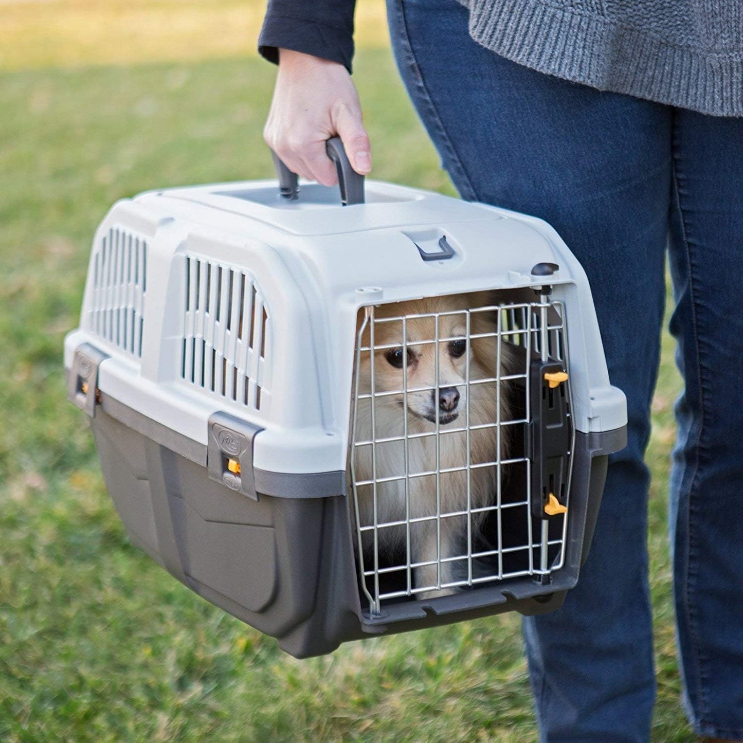 MidWest Homes for Pets Skudo Plastic Carrier, 24-Inch Ideal for Small Dogs with an Adult Weight of 13 - 25 Pounds