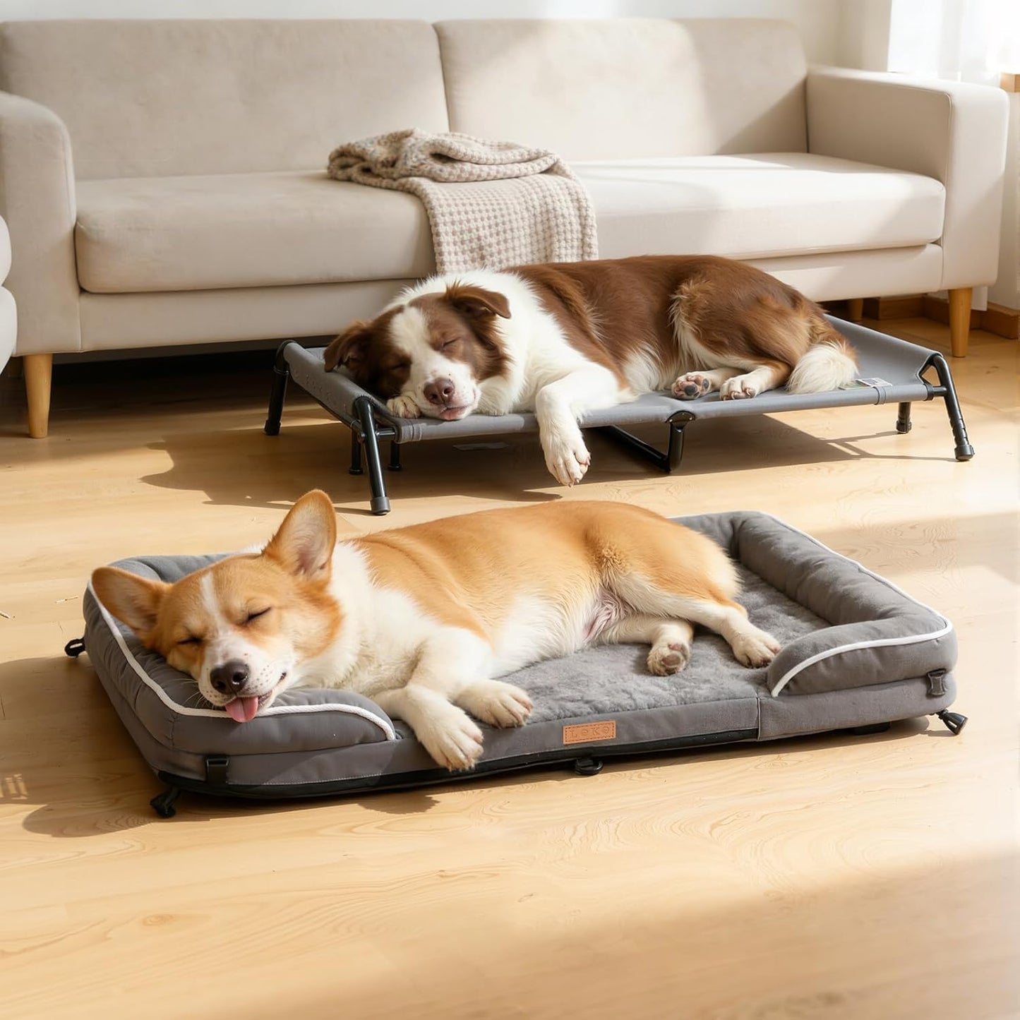 Lekereise Raised Dog Bed for Medium Dog 42x29 Inch, Orthopedic Pet Beds with Waterproof Egg Crate Foam, Removable Dogs Couch Bed for Indoor Outdoor, 2-in-1 Design, Load 70lb, Grey