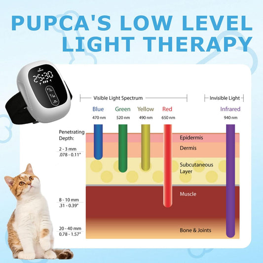 Red Light Therapy for Dogs, Cold Laser Therapy for Pets, Dual Treatment Heads for Joint Discomfort Relief, Muscle Recovery & Skin Care
