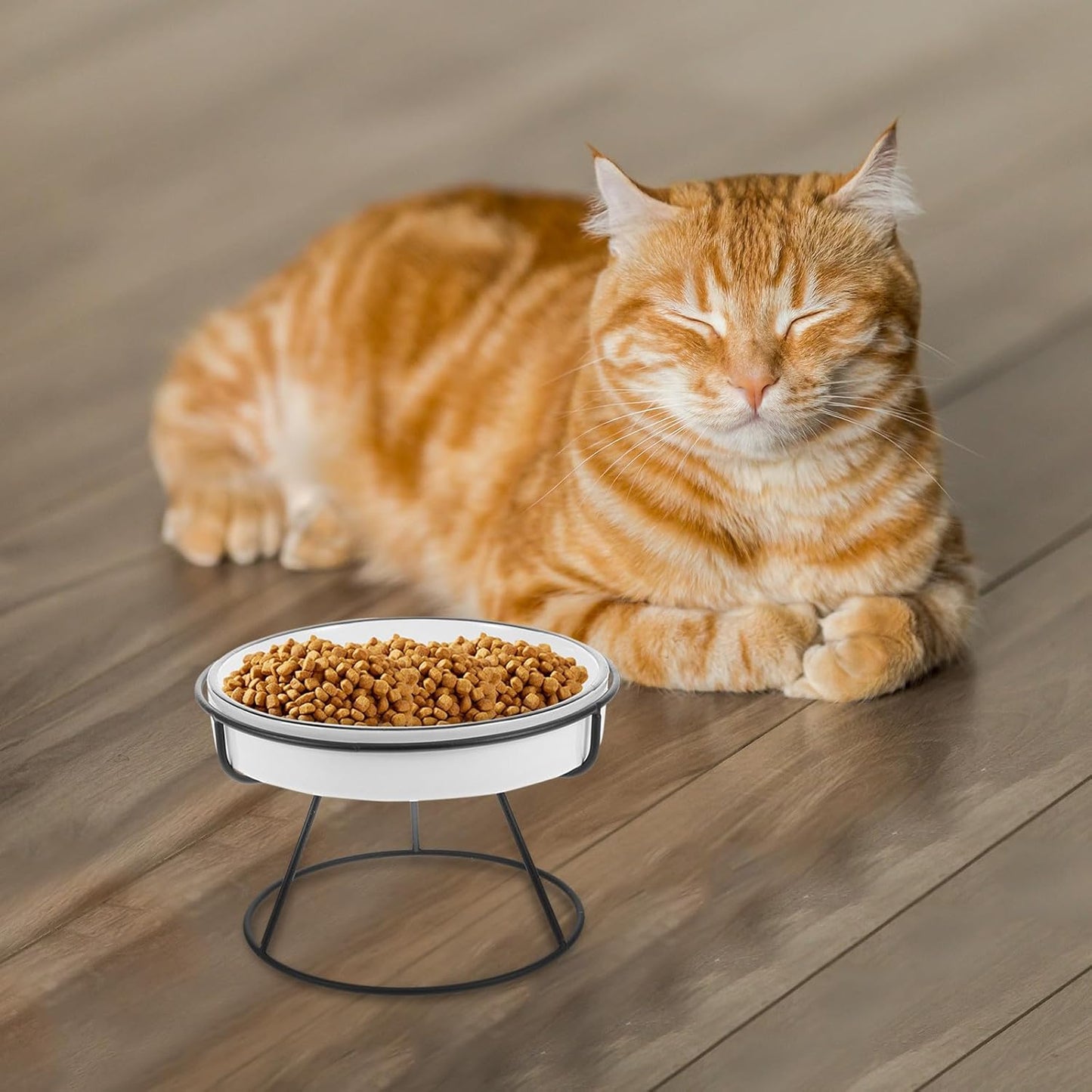 Milisten Elevated Ceramic Cat Bowl and Dog Bowl Slow Feeder with Iron Stand Raised Pet Feeding Station for Small Dogs and Cats to Promote Slow Eating and Spine Protection, Black