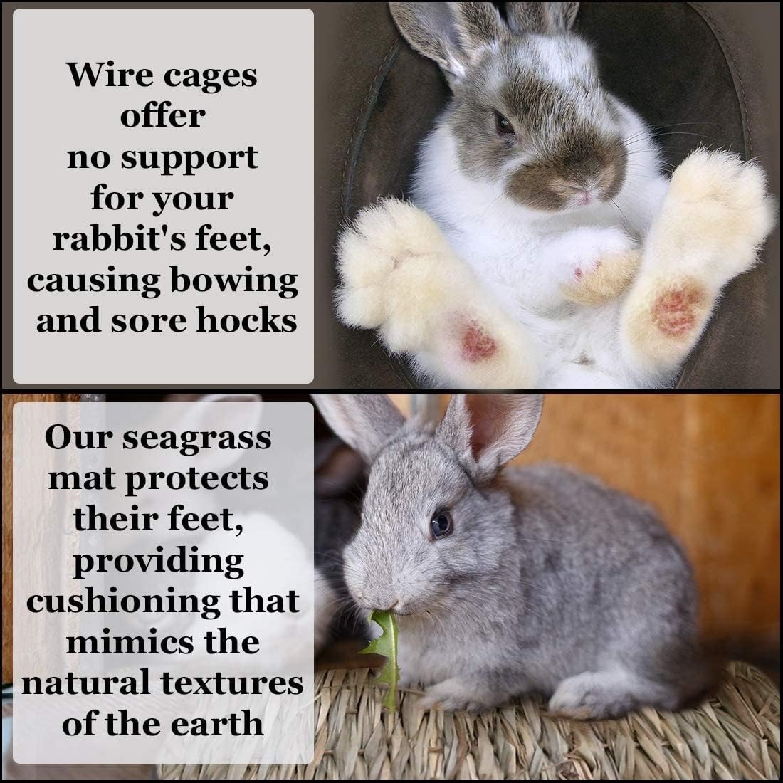 SunGrow Rabbit Grass Mat, Bunny Cage Accessories, Rabbit Stuff and Supplies, Handmade, Edible Accessory Chew, Keep in Cage or on Floor, 1 pc