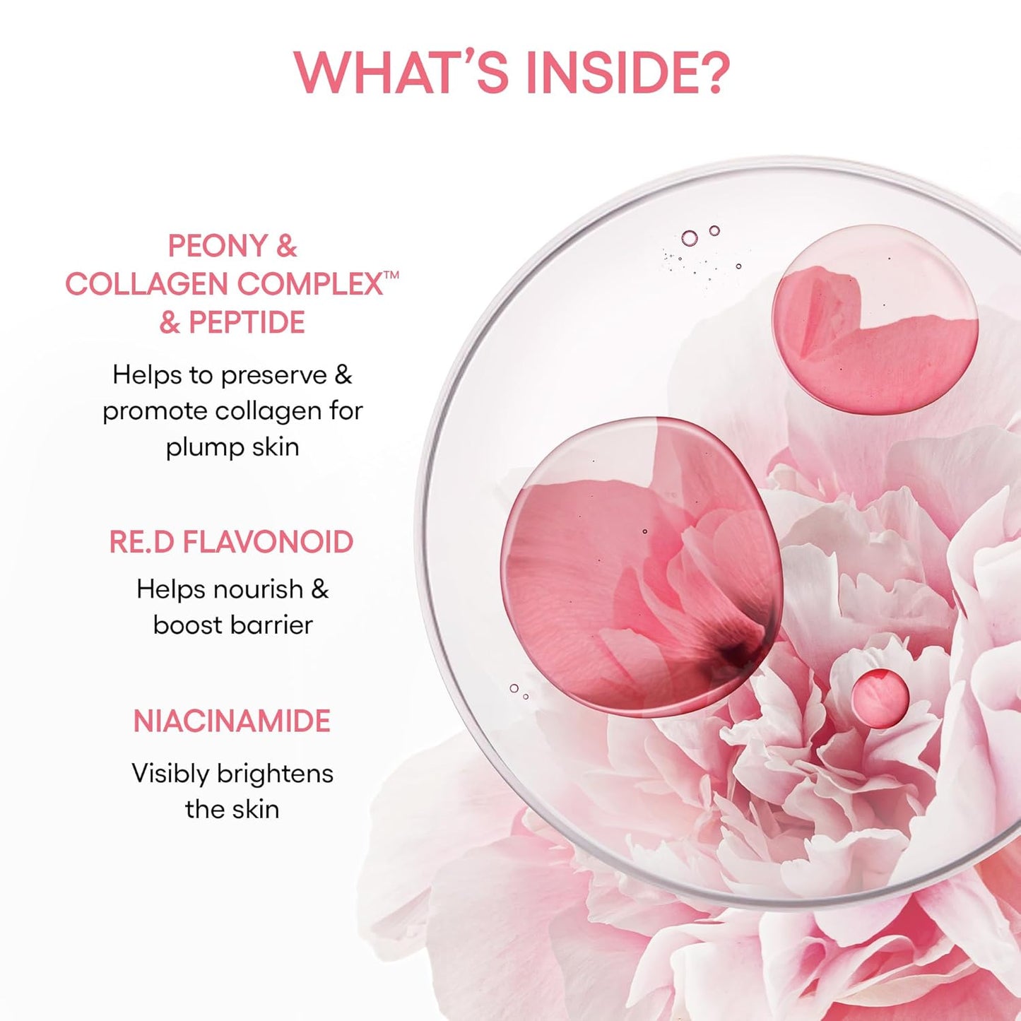 LANEIGE Bouncy & Firm Serum: Korean Slow Aging Collagen Serum with Peptides for Plumping, Firming, & Hydrating