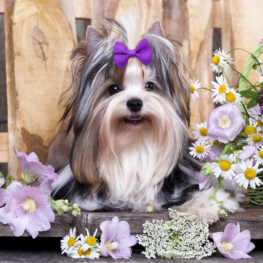 100Pcs(60 Colors) Pure Color Dog Bows with Rubber Bands Small Handmade Topknot Hair Bows for Doggie Puppy Cat Bunny Yorkie Pet Hair Grooming Accessories