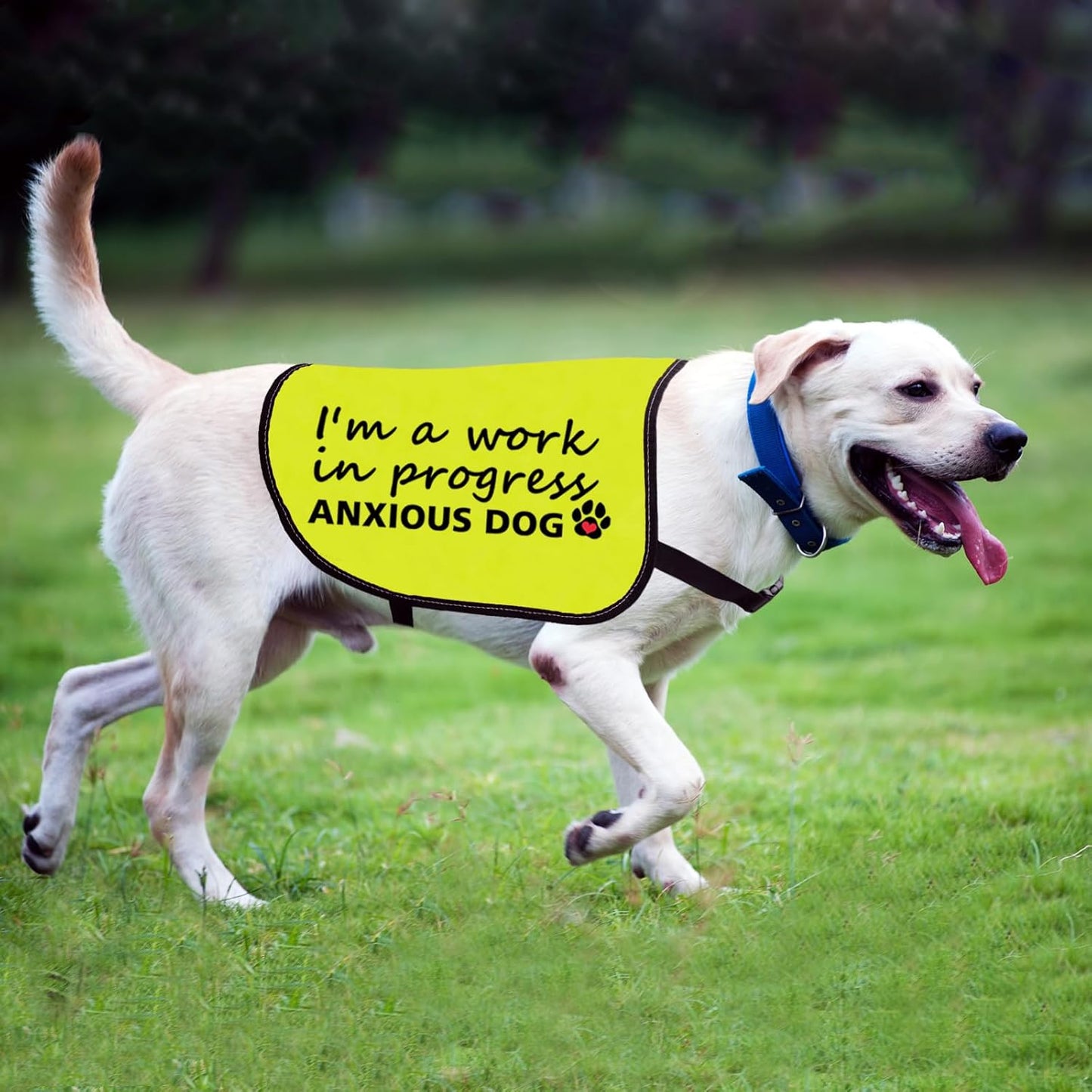 Anxious Dog Jacket Vest I'm A Work in Progress Anxious Dog Slogan Vest Working Dog Clothes Social Distancing Gift (I'm a Work-Large)