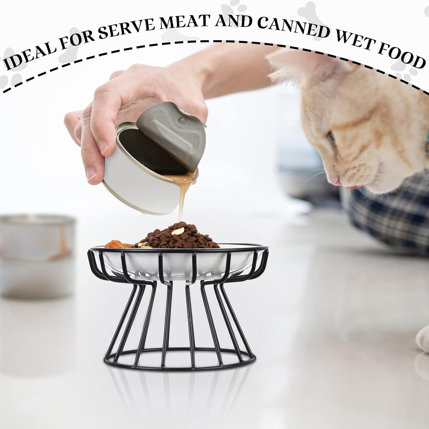 Rtteri 2 Pcs Elevated Cat Plate Set Anti Vomit Cat Bowls with Metal Stand, Shallow Ceramic Raised Feeding Station(Black)
