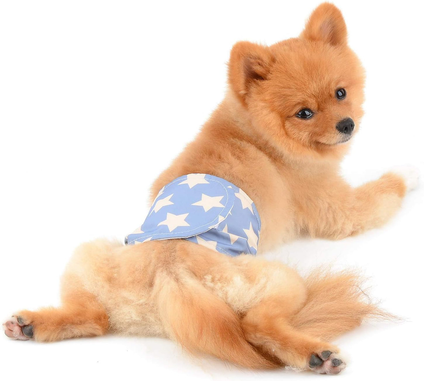 SELMAI Belly Bands for Male Puppies Small Medium Dogs Adjustable Washable Doggie Wrap Diapers Leakproof Reusable Comfy Boy Nappies Absorbent Pads Prevent Licking Adorable Star Design Blue Stars L