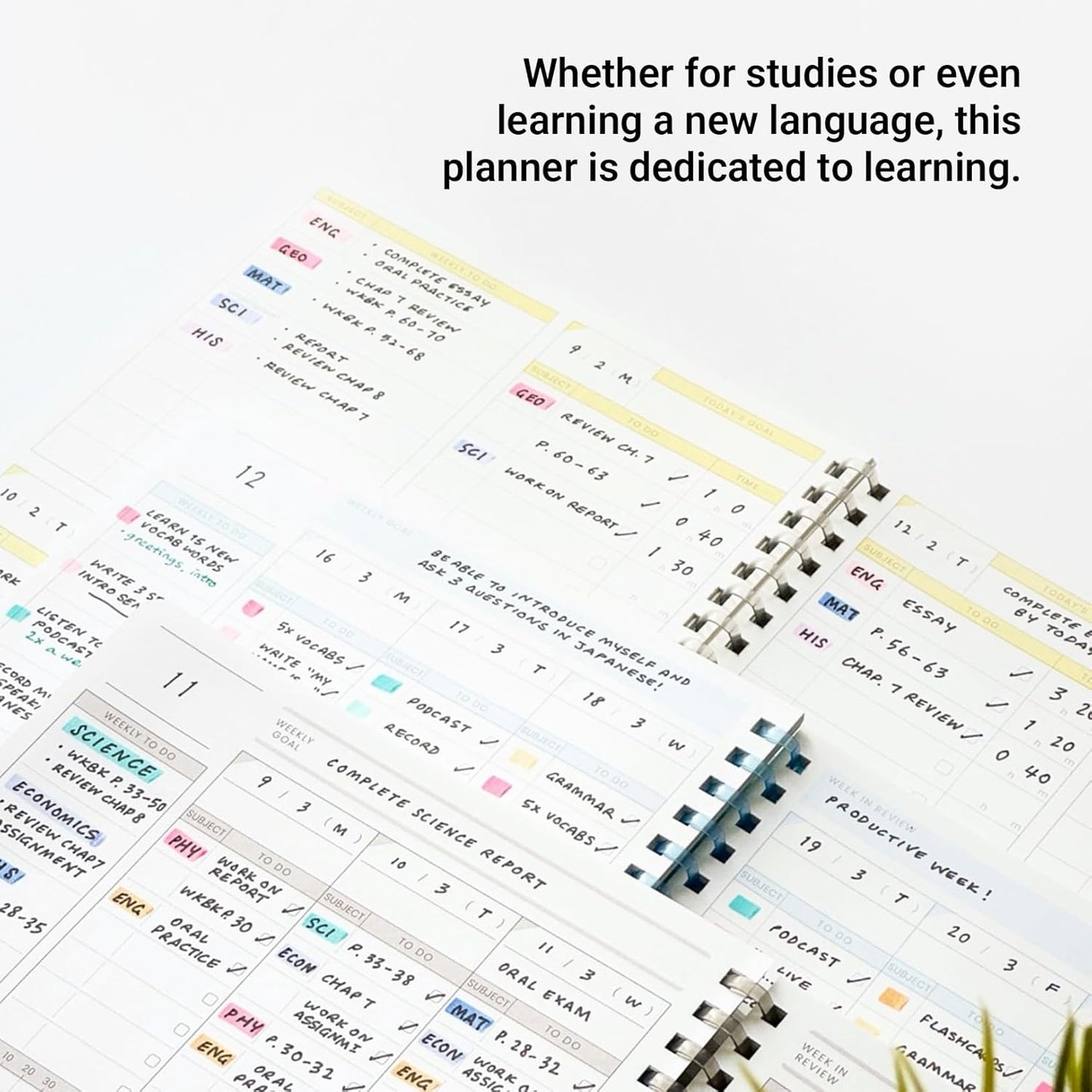 KOKUYO Study Planner Notebook, 10'' x 7'' Time Log B5 Soft Ring Notebooks, 41 To Do Plan Sheets, Green Spiral Notebook, Time Management. Japan Import (SU-SY111TL-G)