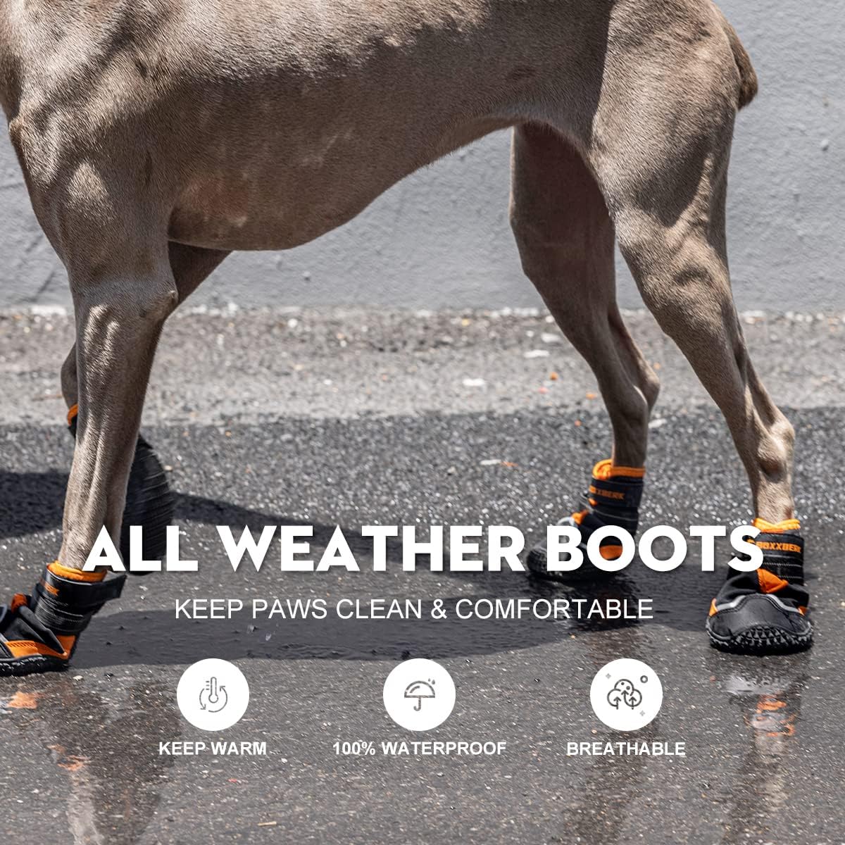 Dog Shoes for Large Dogs,Waterproof Dog Booties for Hot Pavement Winter Snow,Anti-Slip Dog Boots Paw Protector with Reflective Strips for Outdoor Walking Hiking (Black,3")