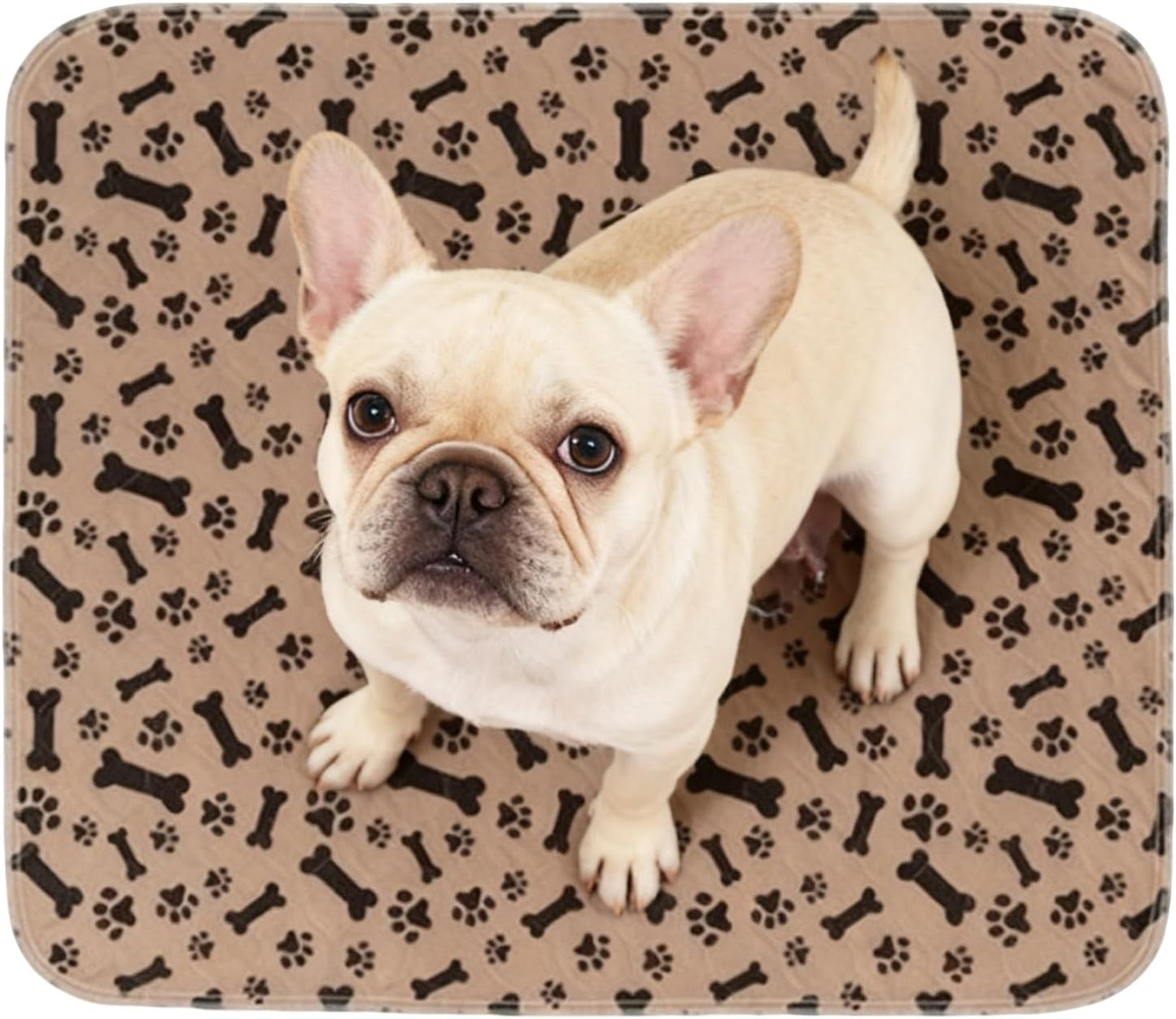 Odor Control Dog Pee Pad - Reusable Puppy Pads |Pet Supplies with Leak Proof Layer,Leak Protection with Non Slip Backing,Animal Grooming Necessities,Nappies & Potty Training for Housebreaking Aid