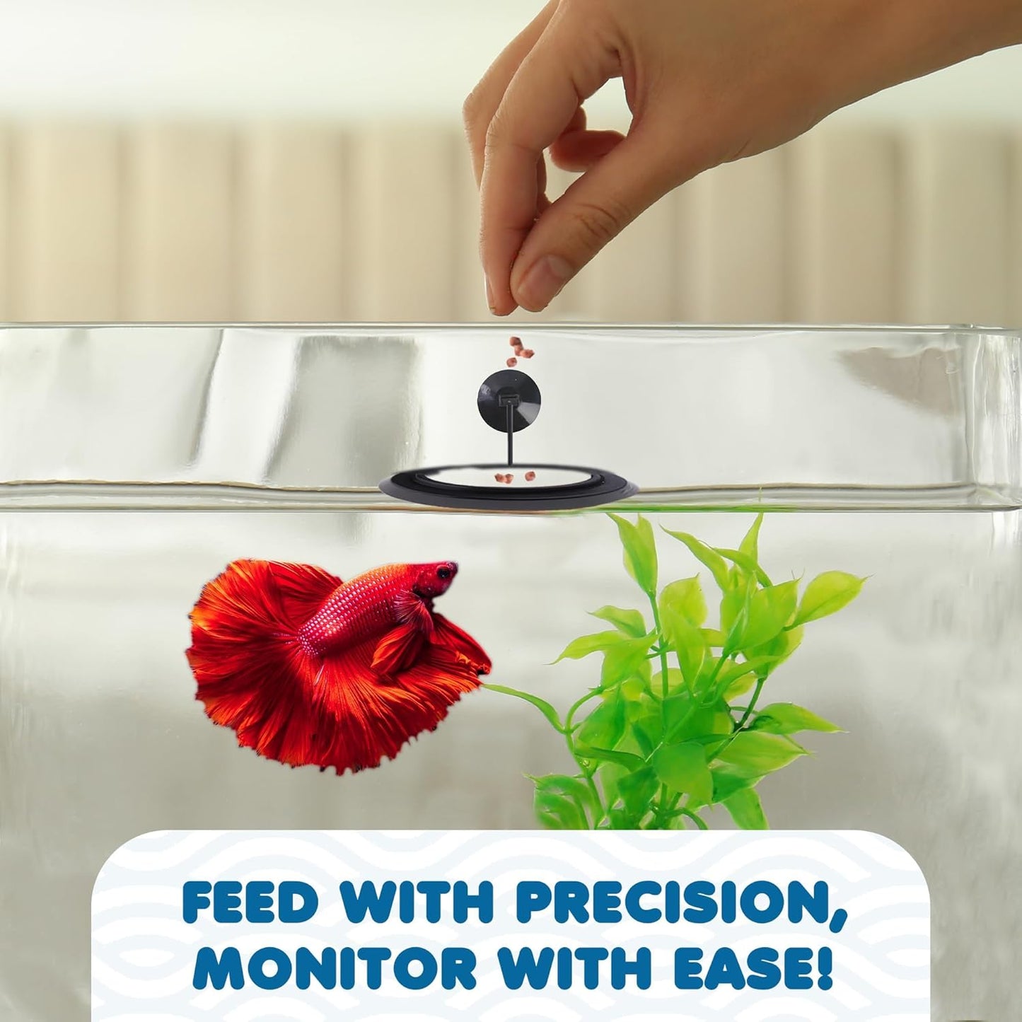 SunGrow Betta Feeding Ring, Prevent Water Turbulence from Washing Food into Filter, Practical Round Floating Food, Suitable for Guppy, Goldfish and Other Small Fish (1 Pc)