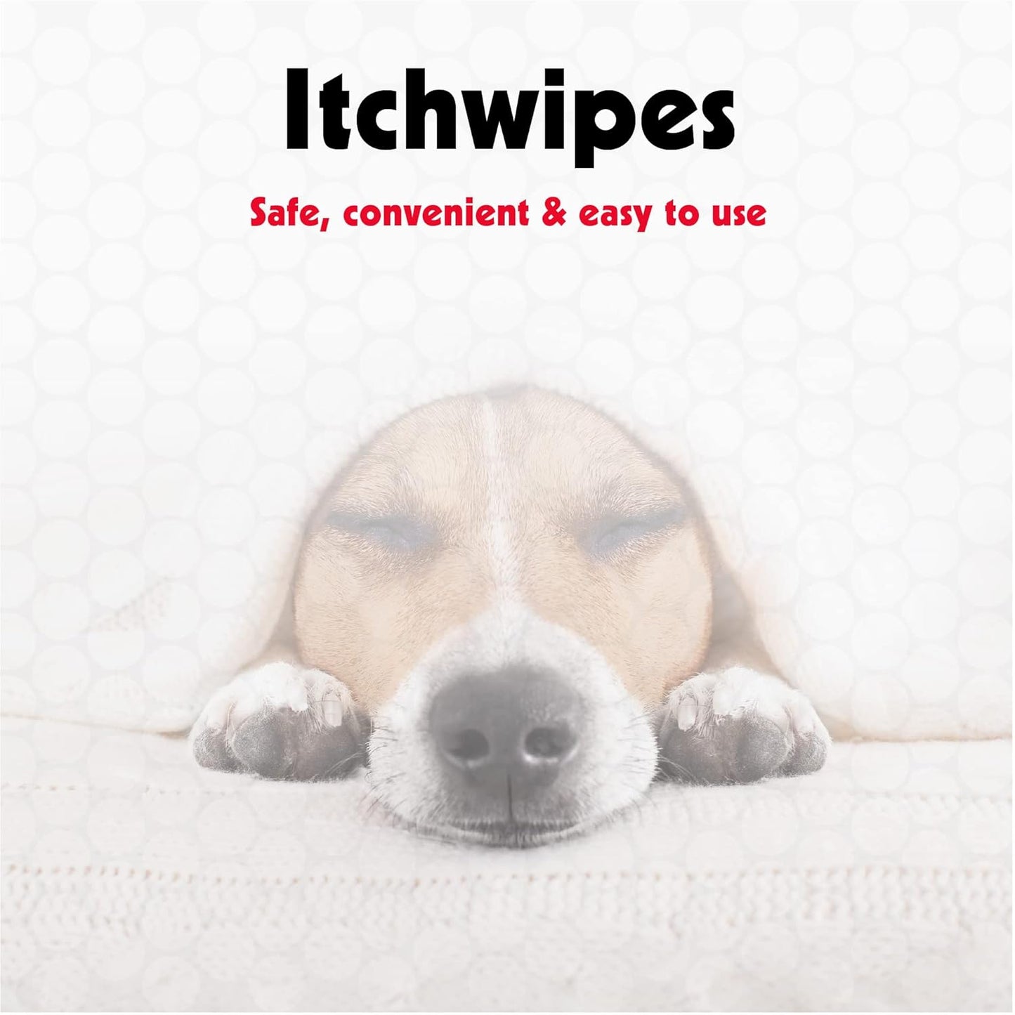 Petkin Anti Itch Wipes for Dogs and Cats, 60 Wipes, 2 Pack - Soothes Hot Spots, Skin Irritations and Scratching - Bitter Taste Stops Licking and Chewing - Super Convenient, Ideal for Home or Travel