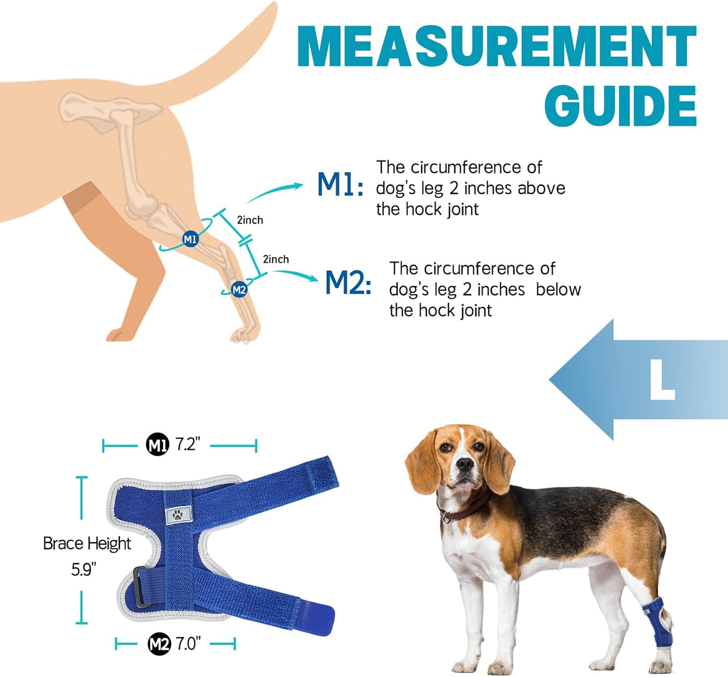 Supet Dog Leg Brace for Back Leg - Hock & Ankle Joint Support for Rear Legs with 2 Metal Springs, Anti-Slip Design & Reflective Trim for Sprain, Arthritis, Injury & Wound Recovery (Blue, L)