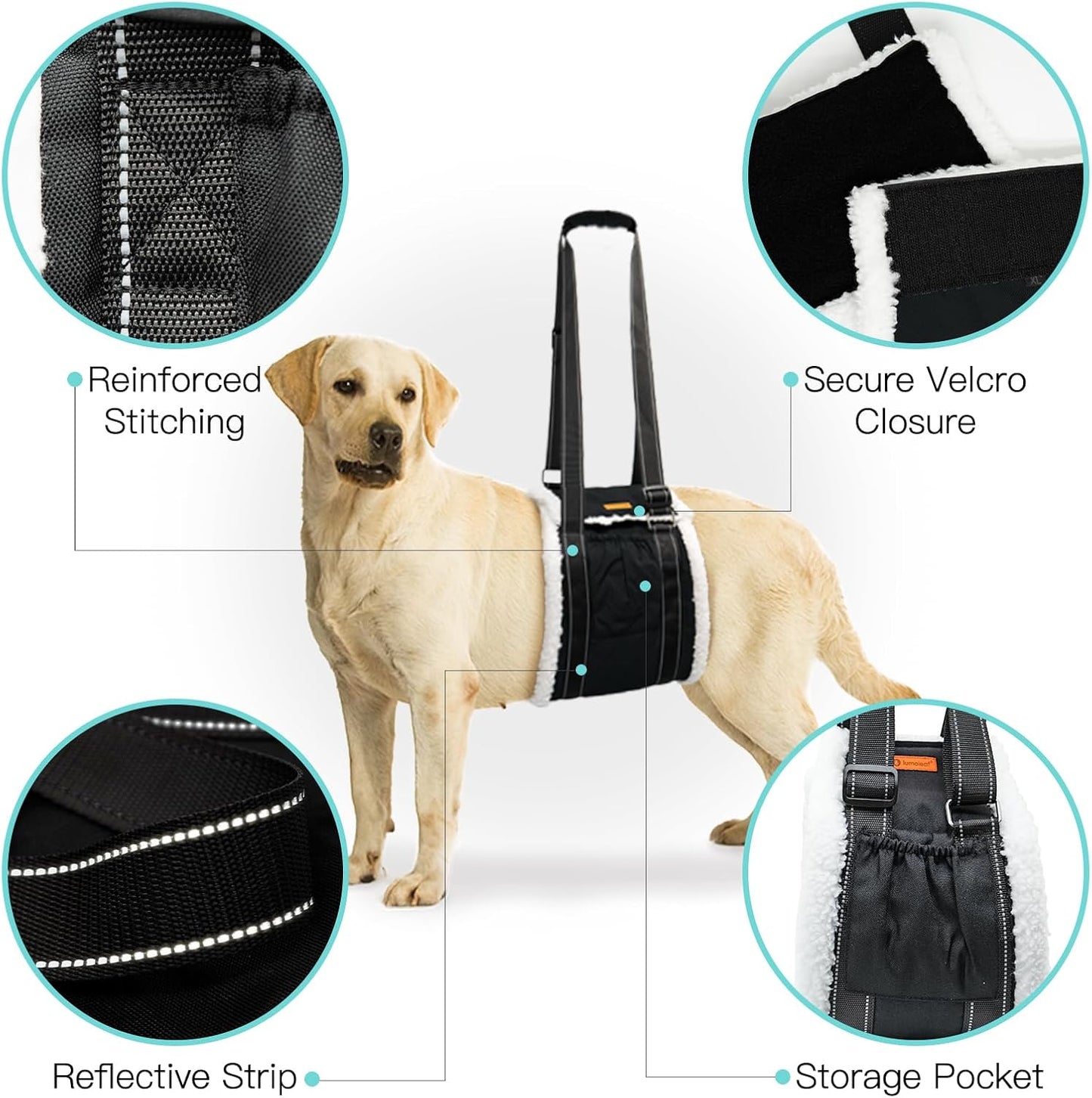 LumoLeaf Dog Lift Harness Sling for Back Legs, Adjustable Rear Leg Support & Mobility Aid, Hip Support for Senior/Disabled Dogs, Soft Fleece Lining, Padded Handles, for CCL/ACL Surgery (Black, Large)