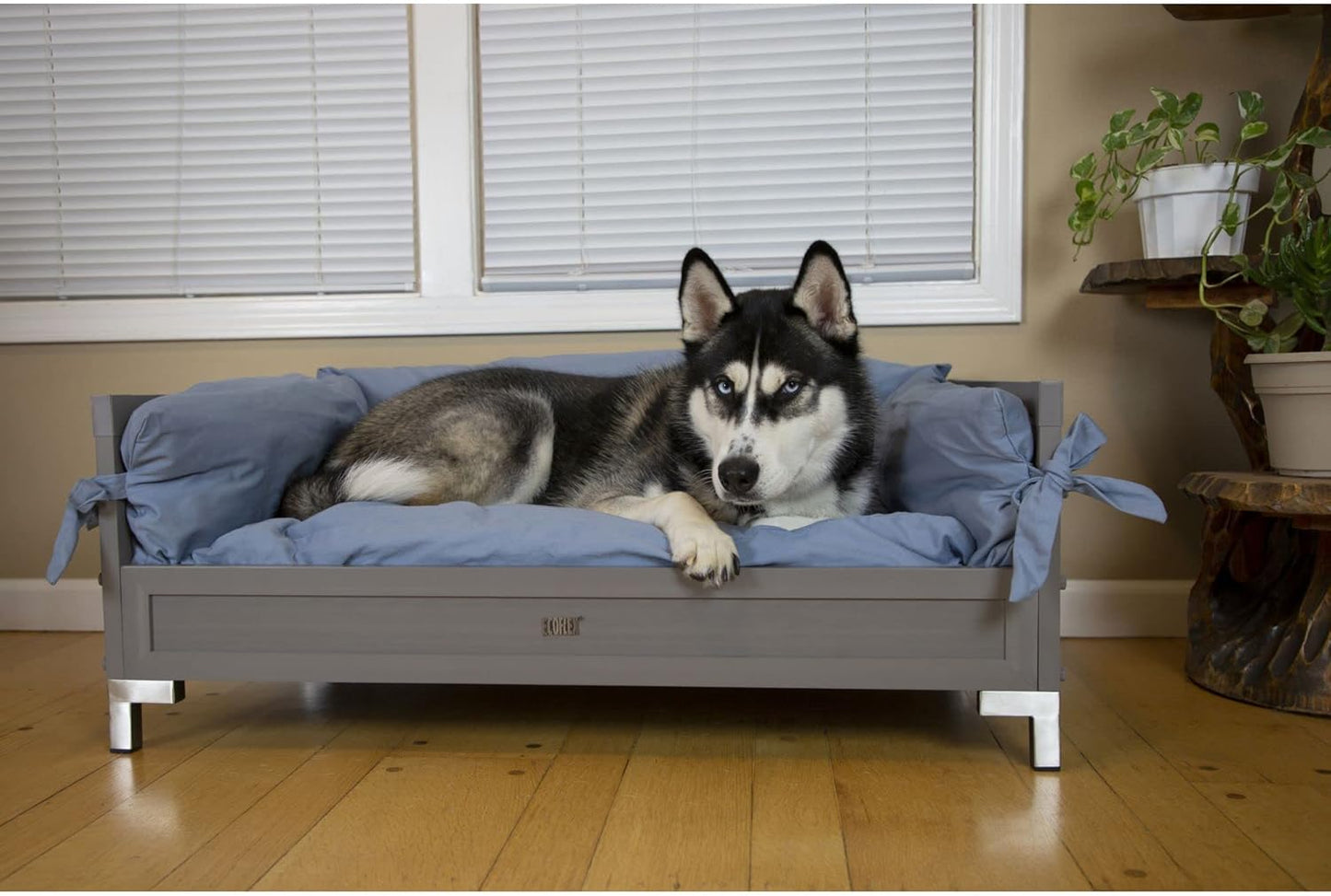 New Age Pet ECOFLEX Manhattan Raised Dog Bed, Moisture Resistant Frame with Stainless Steel Accents, Memory Foam Cushion, Grey, X-Large