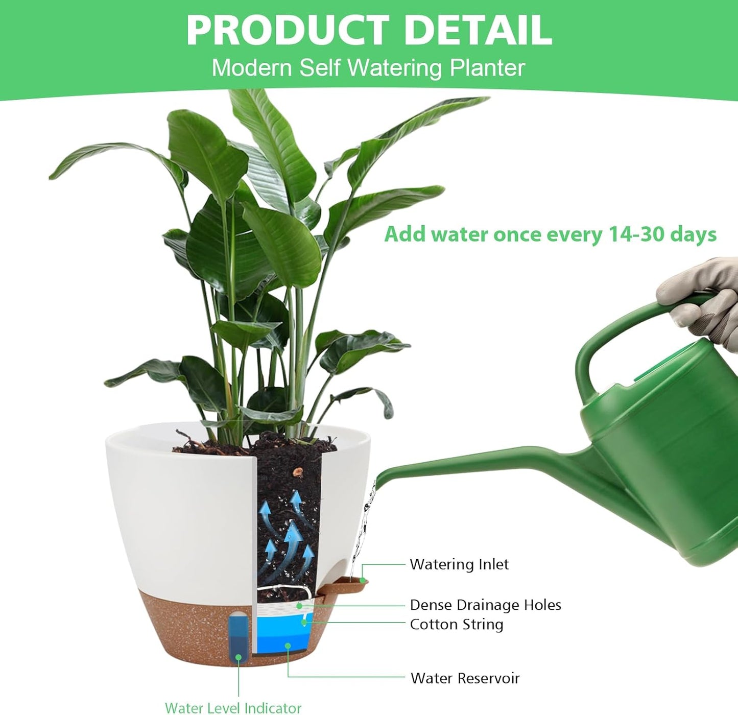 Self Watering Planter with Visual Water Level, 6Pack Small Plastic Pot Set with Drainage Holes and Reservoir Saucers, Modern 8+7+6.5+6+5.5+5 Inch Bottom Watering Flower Pots for Indoor Plant - White