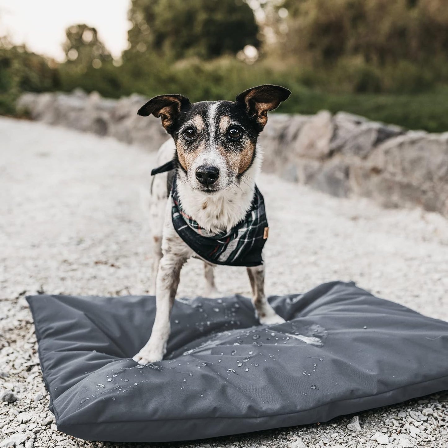 Waterproof Dog Bed Cover for Dogs (53 L x 42 W x 5 H Inches) Washable Removable Orthopedic, Cooling Gel and Memory Foam Pet Bed Protector Cover, 600D Oxford Fabric, Cover Only (Gray)