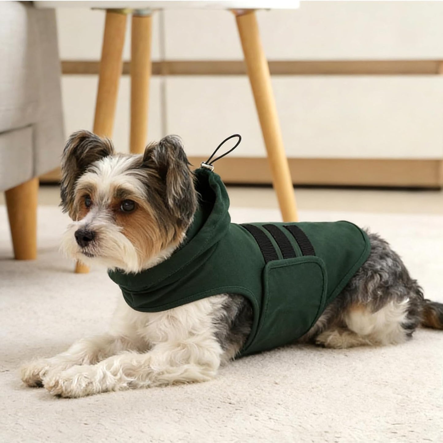 Anxiety Vest for Small Dogs-S | Anxiety Shirt with Hood Ear Cover,Sleeveless Lightweight Calming Vest for Strangers,Storm,Travel,Breathable for All-Seasons (DarkGreen)