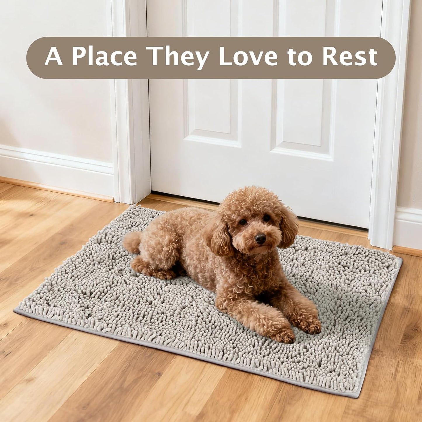 BVAGSS Dog Door Mat for Muddy Paws, Super Absorbent Entry Indoor Entryway Carpet, Quick Dry Chenille Mud Mat for Dogs, Machine Washable Non-Slip Pet Rug XH085 (Grey,19''x30'')