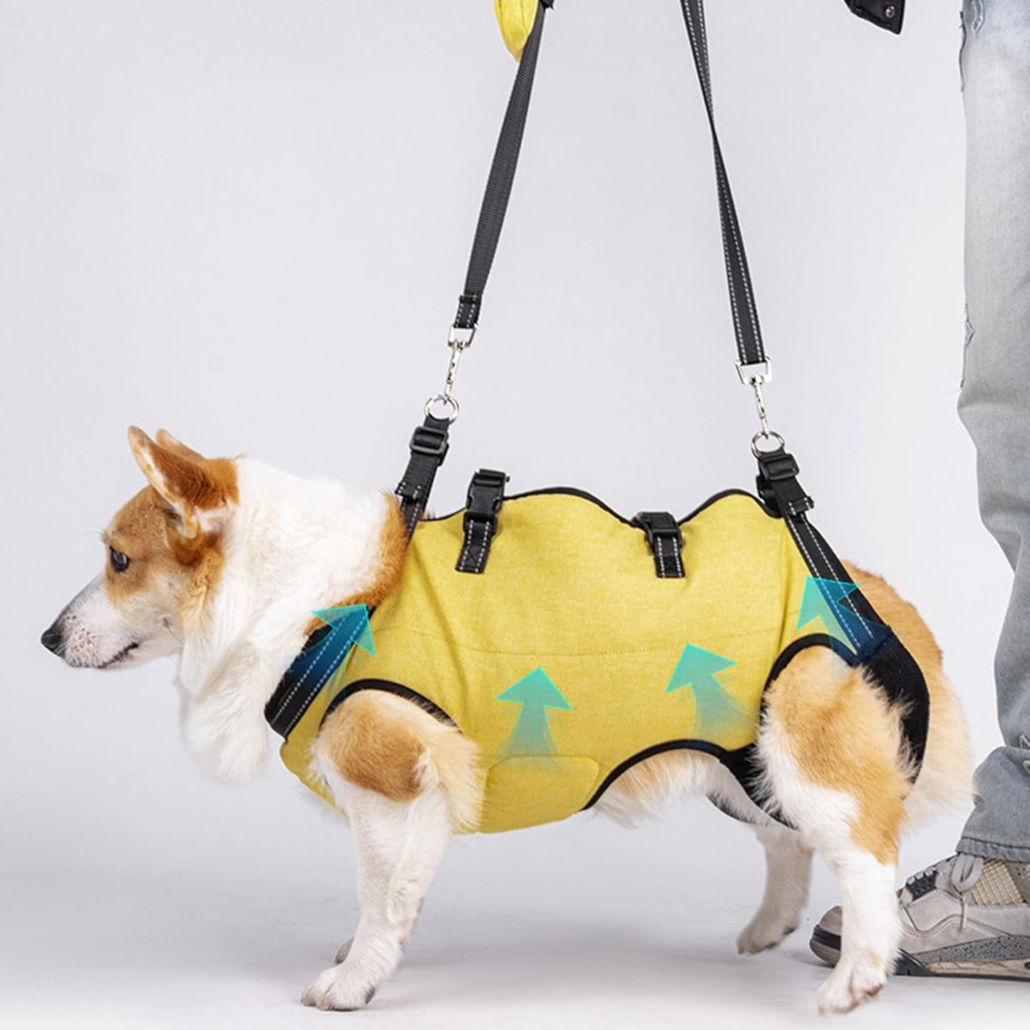 Ergonomic Shock Absorbing Dog Lift Harness Full Body Vests for Senior Canines Adjustable Strap for Outdoor Use Dog Mobility Aid