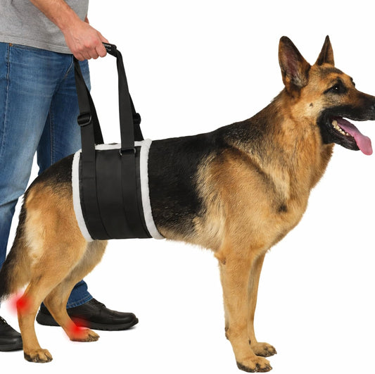 Adjustable Dog Lift Harness – Rear Leg Support Sling for Large Dogs | Mobility Aid for Senior, Injured & Post-Surgery Pets, ACL Surgery Dogs | Soft, Durable & Comfortable