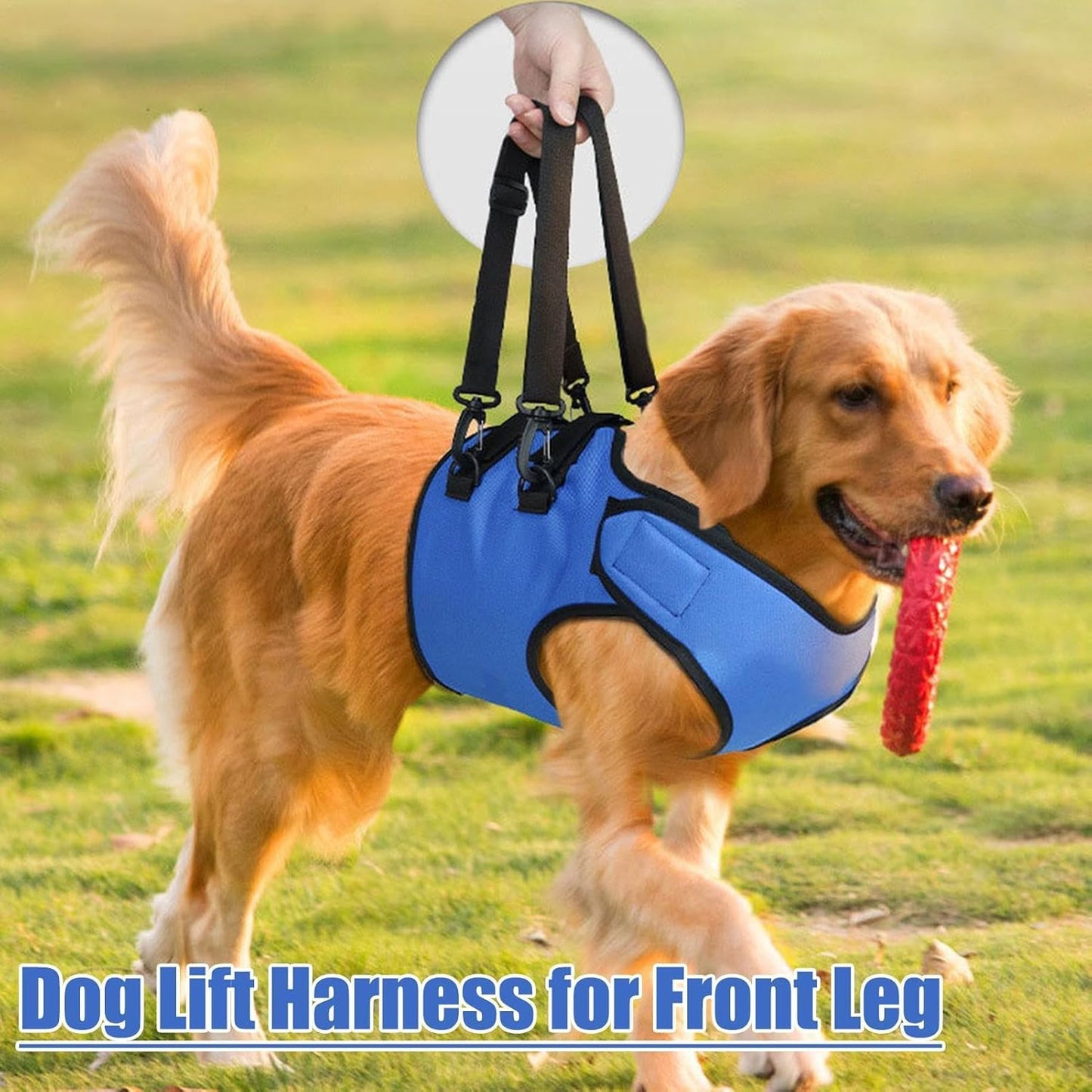 Dog Lift Harness, Puppy Mobility Support, Dog Walking Harness, Stair Assistance Dog Lift Support, Pet Front Leg Lift, Adjustable Dog Lift for Helping Your Puppy Walk Stand, Go up and Down Stairs