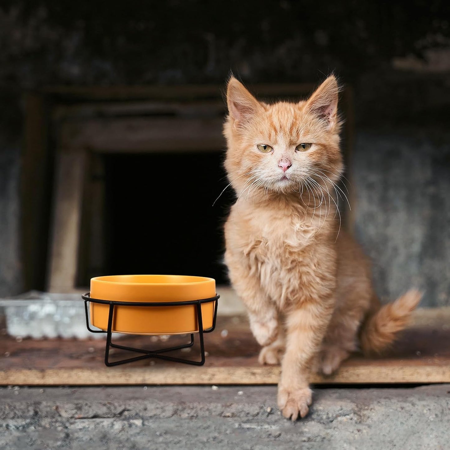 Milisten Ceramic Dog Bowl and Cat Bowl with Raised Black Iron Stand 14cm Protective Spine for Food and Water Yellow Pet Feeding Dish for Dogs and Cats