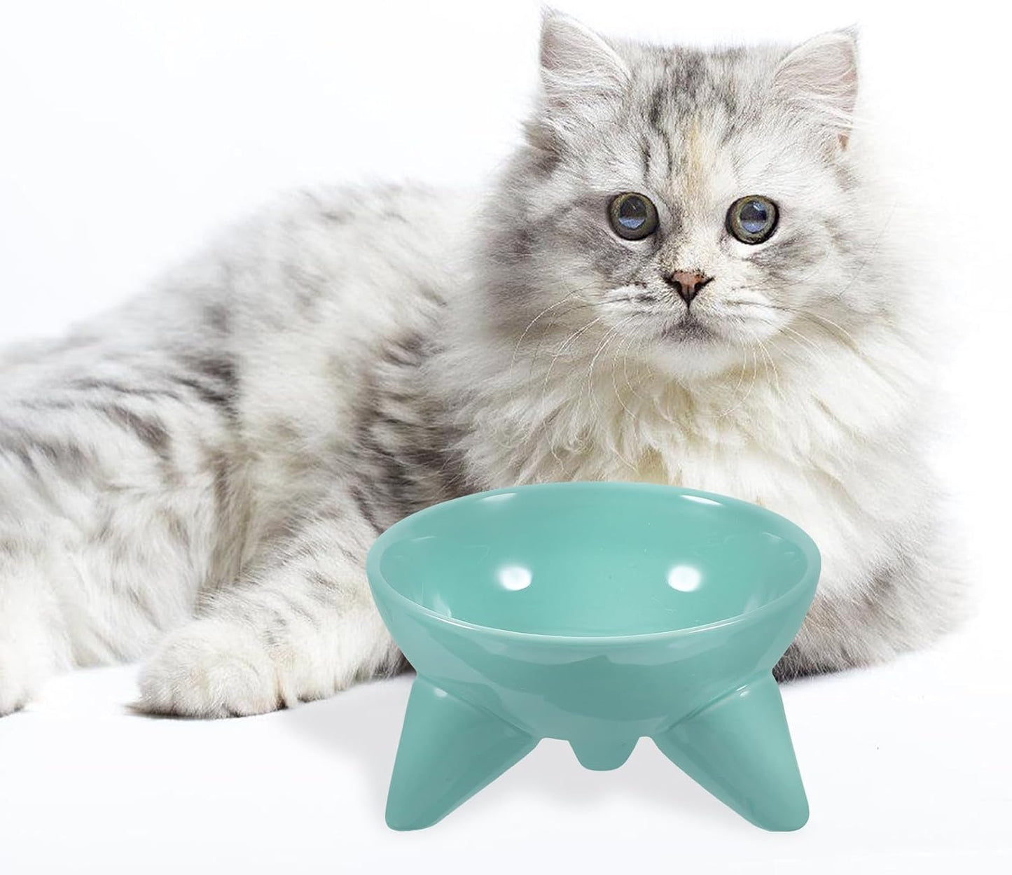 Milisten Elevated Cat Feeding Bowl Raised Pet Water Bowl Tilted Ceramic Dish Anti-Spill Design Mint Green for Cats and Dogs Indoor Use