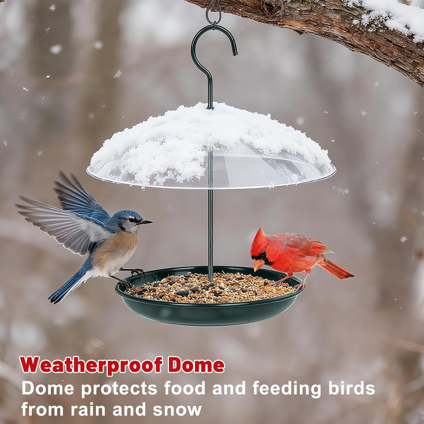 Gtongoko Platform Bird Feeder for Outdoors Hanging with 12” Weatherproof Dome, Squirrel-Resistant Metal Tray, 2 Lbs Seed Capacity, 360° Multi-Bird Feeding, Green