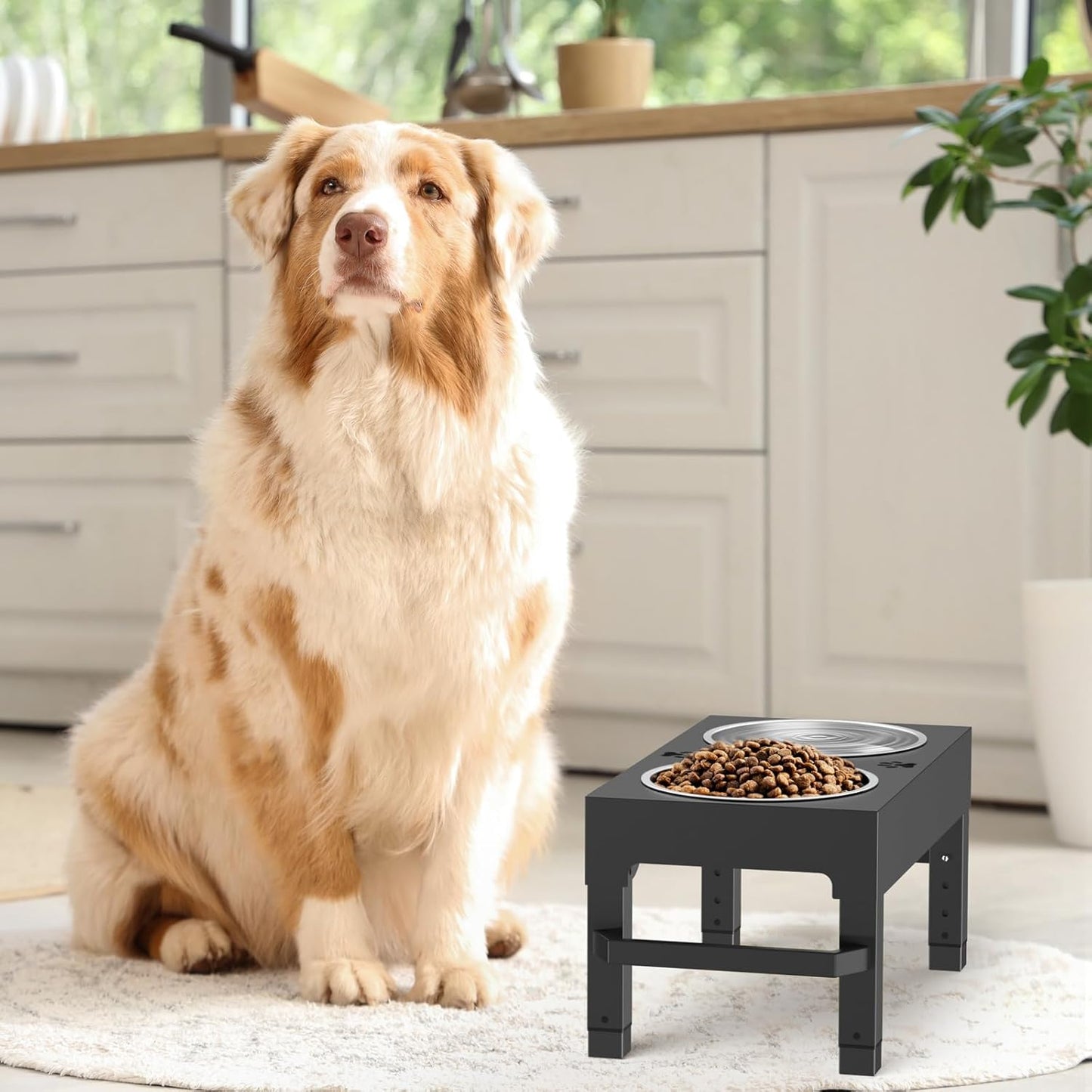 Elevated Dog Bowls, 4 Height Adjustable Raised Bowl Stand with 2 Stainless Steel 7" Food Feeder Bowls for Small Medium and Large Dogs