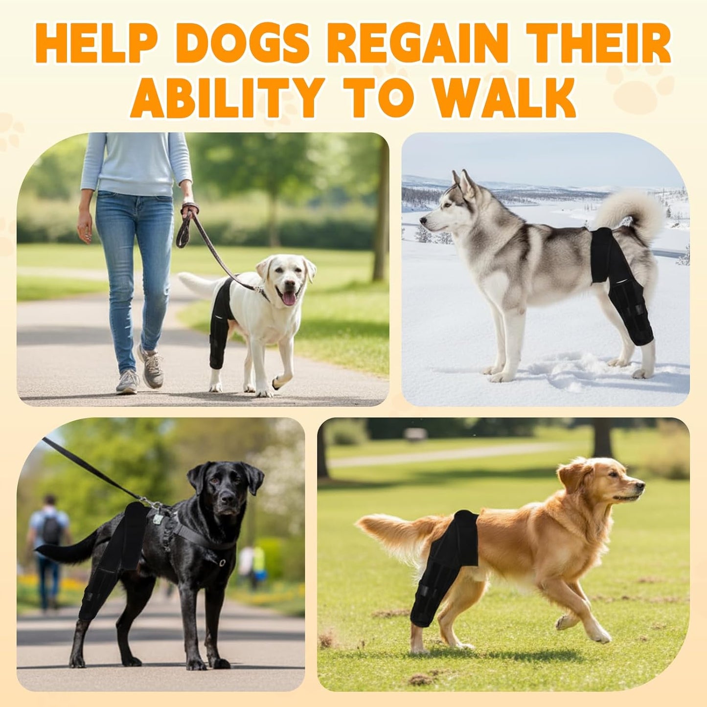 Dog Knee Brace for Hind Leg – Adjustable Rear Leg Support with 2 PP Resin Bars, Helps Torn ACL, Ligament Injuries, Luxating Patella & Hip Dysplasia Recovery for Left/Right Hind Leg (S)