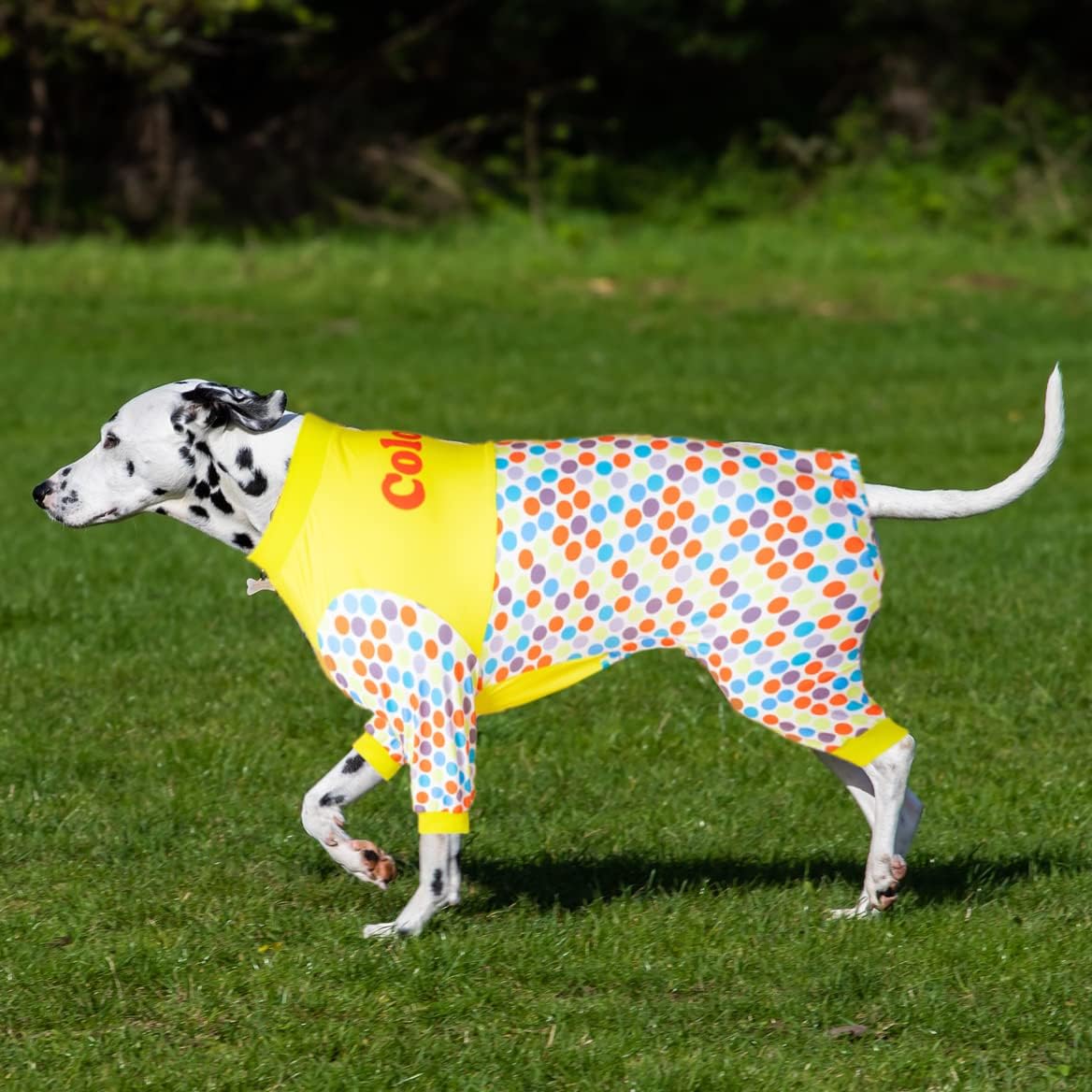 LovinPet Pet Recovery Suit for Dogs, Post Operative Jumpsuit for Dogs Apparel, Dog Onesie as Bottoming Under Dog Coats, Breathable & Elastic Hanging Out Diddly Dot Sky Prints Pajamas for Big Dogs