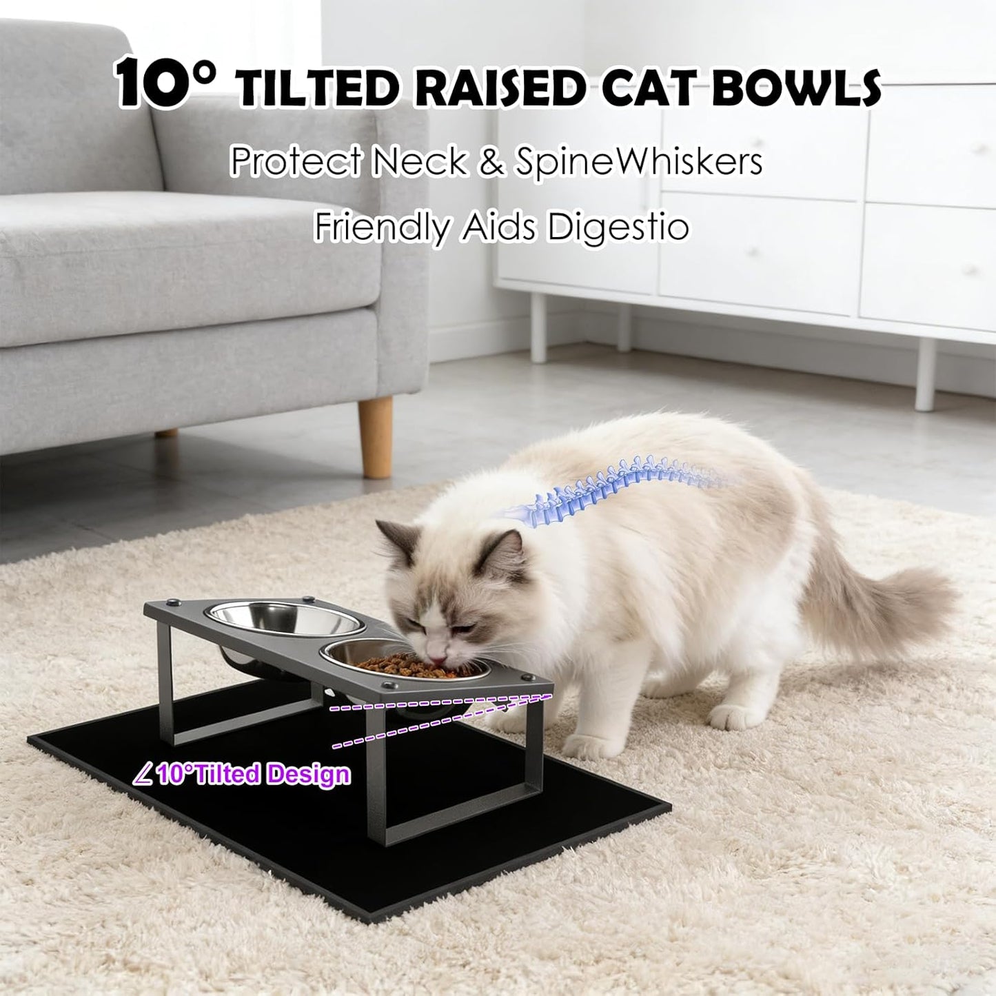 Elevated Cat Bowls with Splash Proof Mat for Kitten Puppy, 10° Tilted Raised Bowl Stand Anti-Vomiting, 2 Wide Shallow Stainless Steel Bowls, Whisker Friendly, 3.5" Tall