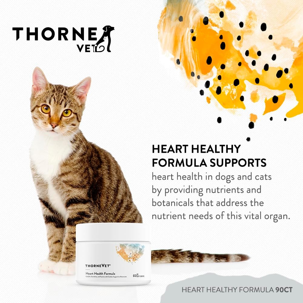 ThorneVet Heart Health Formula and Joint Support Formula Soft Chews Bundle