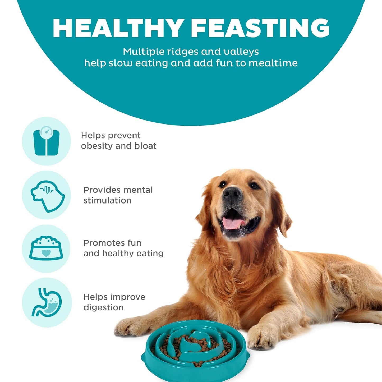 Outward Hound Fun Feeder Dog Bowl Slow Feeder, Large/Regular & Medium/Mini, Turquoise