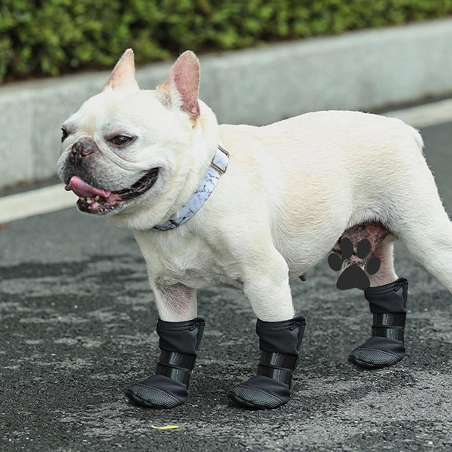 Dog Feet Covers Protective Shoes for Pet with Adjustable Sticker Shoes Dogs Thick Grip Booties with Adjustable Stick Weatherproof Dog Socks