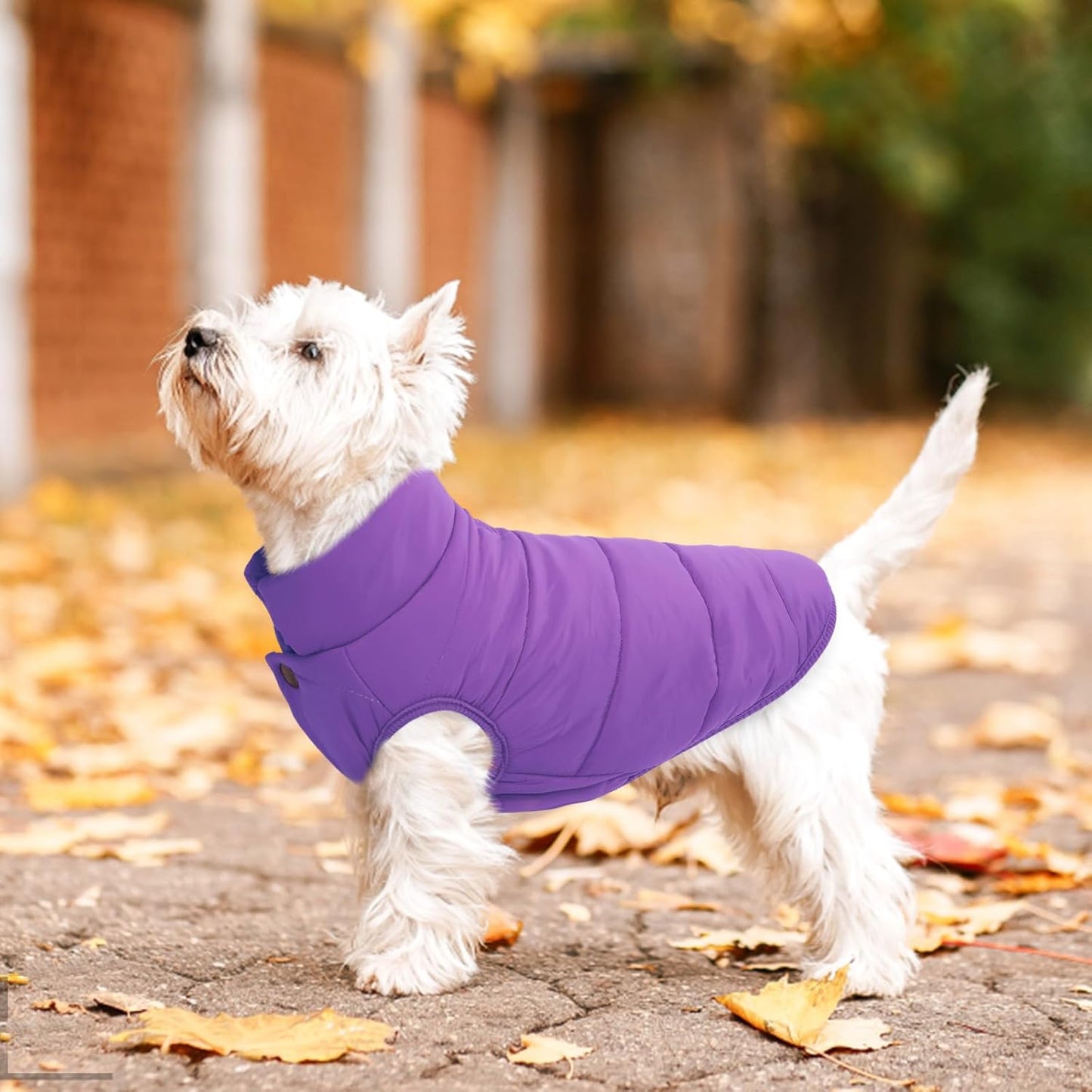 ASENKU Dog Winter Coat - Waterproof Windproof Dog Jacket, Warm Snowproof Doggie Puffer Vest for Cold Weather, Lightweight Snow Coats for Small Medium Large Dogs (Purple, XL)