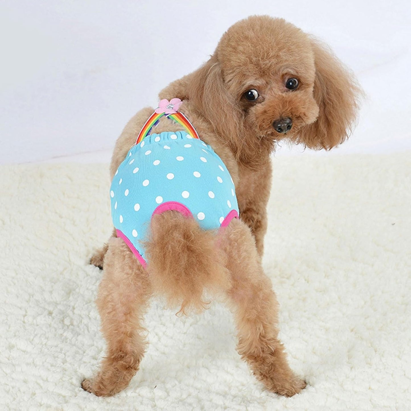 Dog Diaper Shorts Sanitary Pantie Female Dogs Adjust Suspender Diaper Panties Period Briefs Physiological Shorts Supply for Female Pet