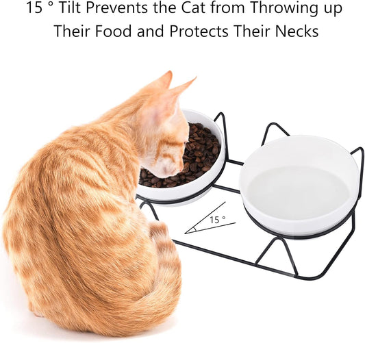 Cat Bowls, Double Ceramic Pet Bowls with 15°Tilted Raised Stand for Food and Water, Anti Vomiting Dish Feeder, Perfect Puppy Cats Small Dogs(Black Stand), LLNVBP1966