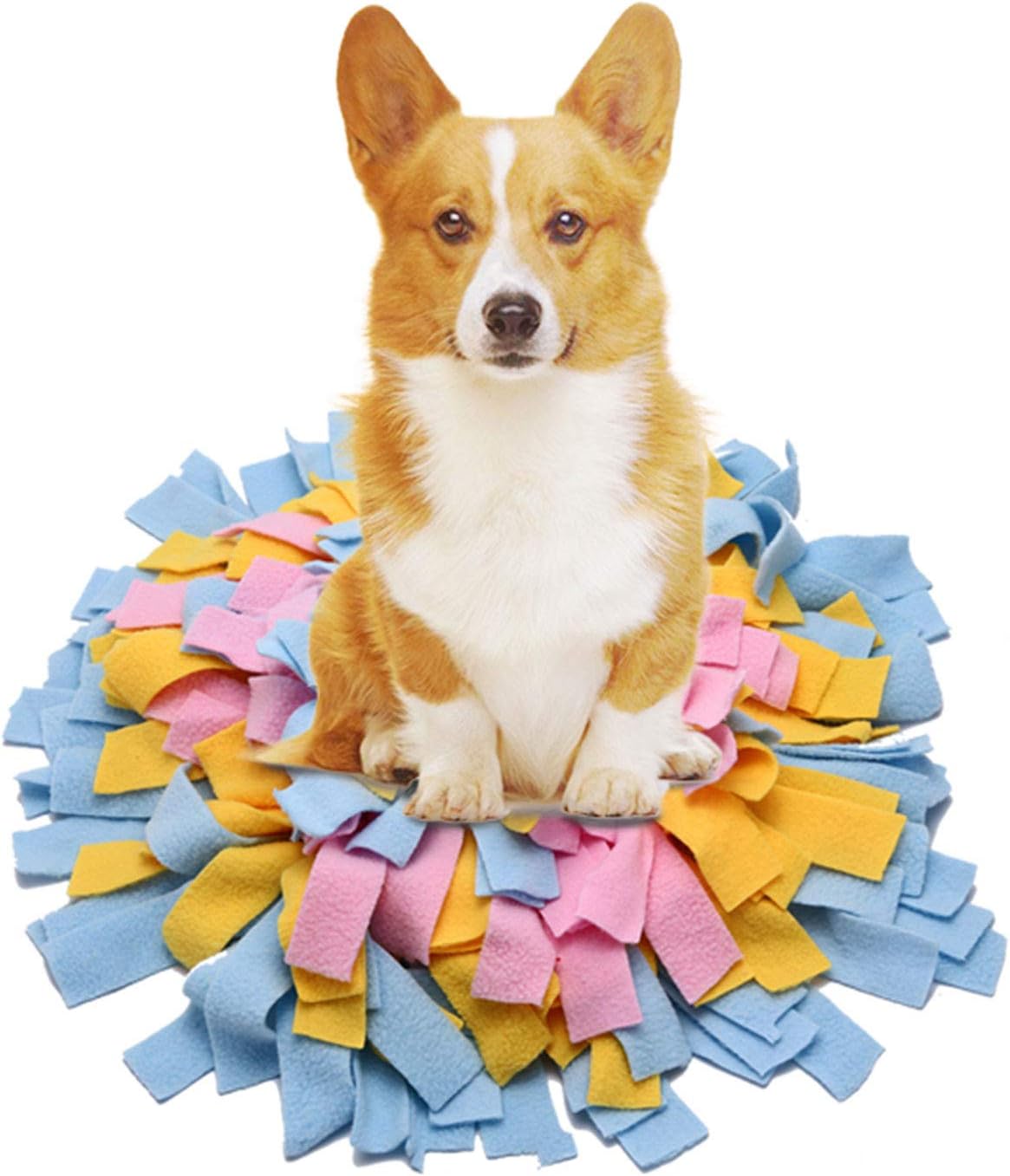 Pet Dog Snuffle Mat Nose Training Sniffing Pad Relieve Stress Fun for Play Puzzle Toy Slow Feeding Food Bowl Blanket
