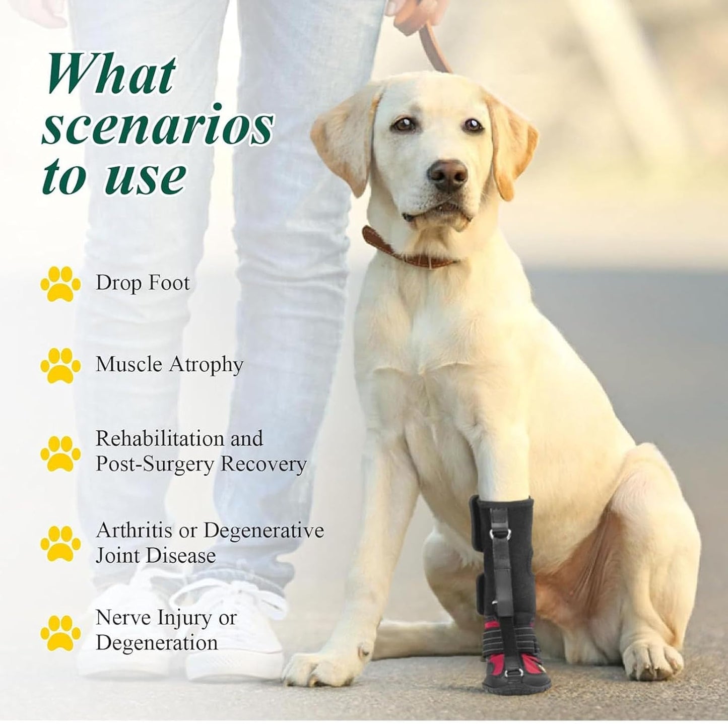Diydeg Drop Foot Brace, Breathable Non Slip Sole Bottom Dog Boot Foot Protector, Corrective Dog Shoes to Safely Lift Toes for Foot Issues, Arthritis, Improving Walking Gait in Dogs (M)