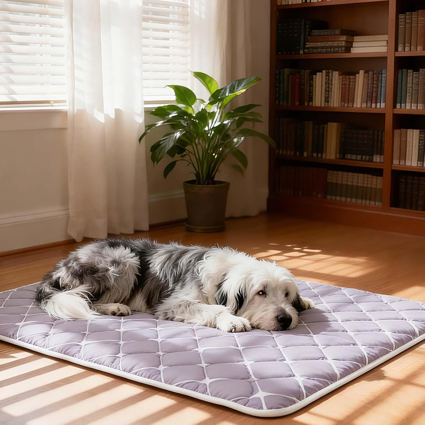 Bubble bear Dog Crate Pad - Ultra Soft, Washable Crate Mat, Anti-Slip Kennel Pad for Small/Medium/Large Dogs, Dark-Hued to Hide Stains (36"x23")