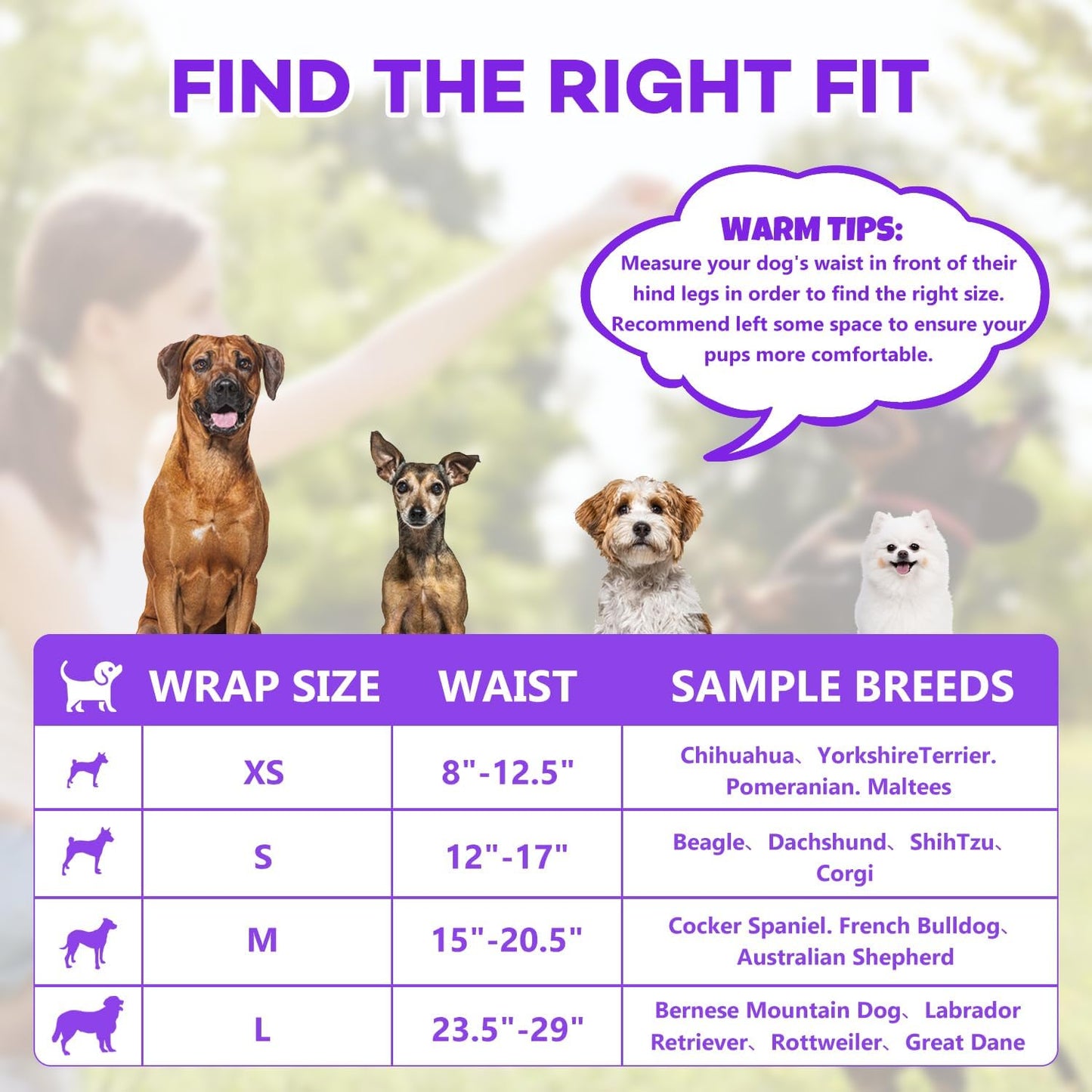50 Count Disposable Male Dog Wraps, Male Dog Diapers, Super Absorbent Pee Wraps, Belly Bands for Dogs, Leak Proof, Wetness Indicator, Puppy and Doggie Diaper for Peeing, X-Small
