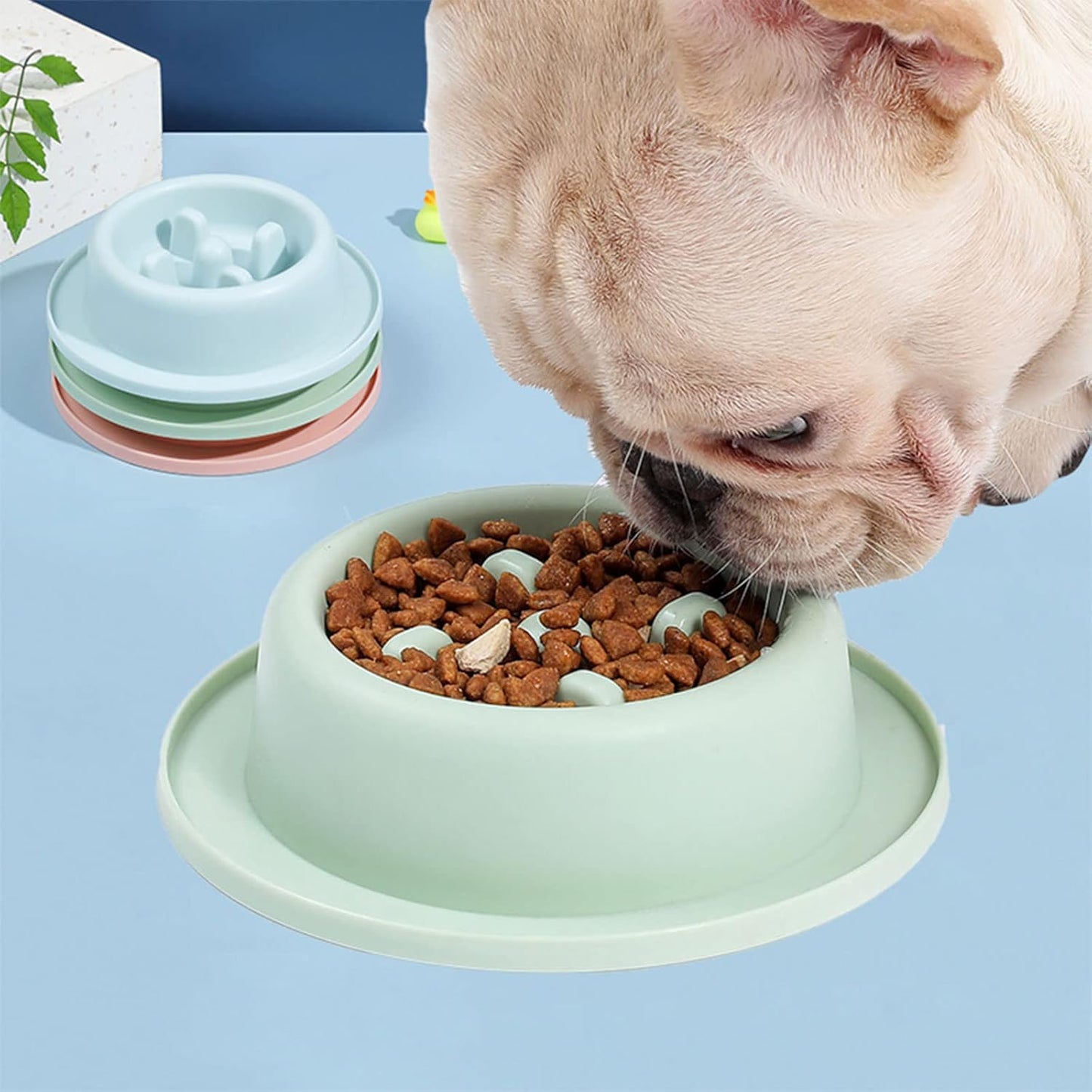 Dog Slow Feeder Round Bowl Interactive Fun Shape Bowls Bloat Stop Choking for Small Dogs Slow Feeder Dog Bowls Small Breed Wet Food Fun Shape Non Slip