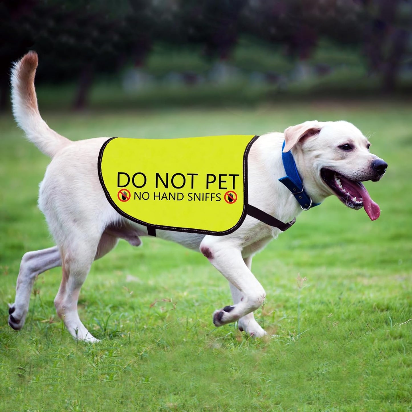 Funny Dog Slogan Jacket Vest - Do Not Pet, No Hand Sniffs - Walking Warning Vest (Small)