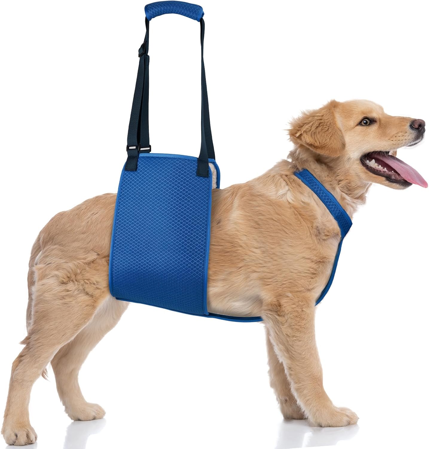 Adjustable Dog Lift Harness with Fixing Strap — Dog Lift Sling for Dogs, Hind Leg Support, Soft Rehab Harness for Weak Rear Legs, Ideal for Senior, Injured, Disabled Dogs and Surgery Recovery (M)