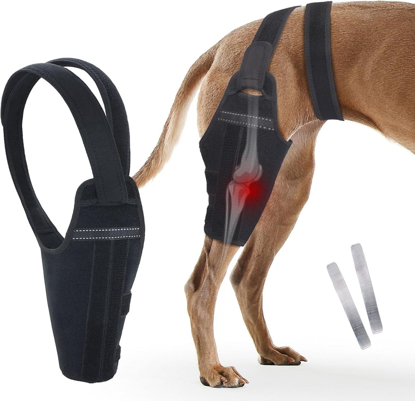 Dog Knee Brace–Adjustable Support Brace for Torn Acl Hind Legs with 2 Stabilizer Support to Reduces Pain, Ligament Injuries & Luxating Patella for Small Medium Large Dogs (Left Leg, M)